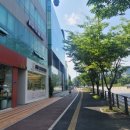 라엘동물의료센터 이미지