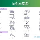 서래태권도 | 🧭노인을 위한 연령별·수준별 운동 프로그램, 이렇게 만드세요!