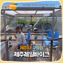 예쁘게즐겁게 | 제주동쪽가볼만한곳 아이랑 액티비티 제주레일바이크