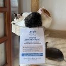 야온 - 서귀포시 천제연로232번길 18-21 | 야온