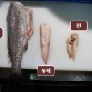 민어나라 이미지