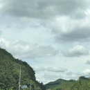 함열수목원 | 논산 온빛수목원 후기｜인스타 보고 다녀온 사진 찍기 좋은 수목원