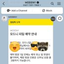 모드니modeny 이미지