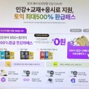 LC비지니스솔루션 | 토익 570점 → 890점으로 끌어올림! 이게 되네