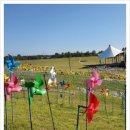 그집추어탕 이미지