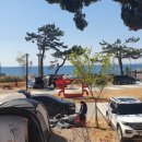 경상북도교육청 영덕오토캠핑장 이미지