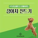 해봄동물병원 이미지