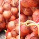 무안상회 이미지