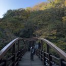 동광로1길 90 | [일기] 제주 여행 압축본 + 인생 첫 마랏돈