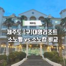 대명리조트 제주 | 제주도 (구)대명리조트 소노벨 제주 &amp; 소노캄 제주 비교 후기
