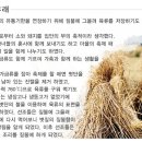 짚터 이미지