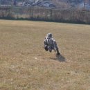 아이페티앙 이미지