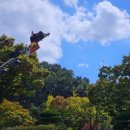 프리아트 | 경남도립미술관 미술주간 GAM 아트 마켓 : 프리마켓 후기