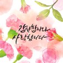 내리사랑태권도장 이미지