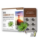 쇼 부 이미지