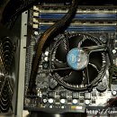 Lion PC방 이미지