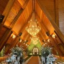 네스트웨딩홀뷔페3 이미지