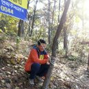 이미순「달」 이미지