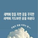 안*식 이미지