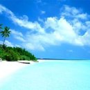 아름다움 이미지