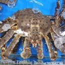 수산역사공원 이미지