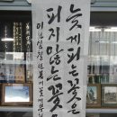 늦게 피는 꽃 이미지