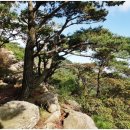 남산추어탕 이미지