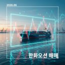 [국내 주식] 한화오션 매매 후기: 주린이의 전량 익절 매도 및 반도체 ETF 환승 기록