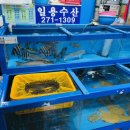 일용횟집 이미지