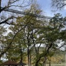 내룡보건진료소 이미지