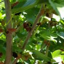 원창농장 이미지