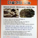 해정 뚝배기 이미지