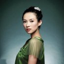 중국 인기 여배우 장자이(張子怡·Zhang Ziyi) 어머니에게 호화주택 선물 이미지