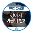 강동24시SKY 동물병원 이미지