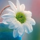 세인목장 이미지