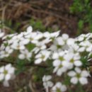 형수농장 이미지