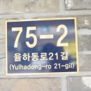 마마스미독 강아지분양 인천점 | 대구동구강아지분양 사회성 좋은 아이들