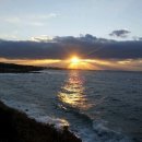 솔내음솔솔 이미지