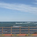 하도바다 이미지