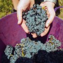 자옥농장 이미지