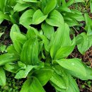 명이농장 이미지