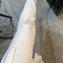 대창세탁소 이미지