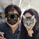 [2502] 본식 당일까지의 우당탕탕 기록