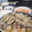 안양 관양동 맛집 추천 아씨순대국 진짜 순대국랭커