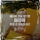 아리따움시흥 - 시흥시 함송로 24 | 시흥 아기 앙증맞은 50일 정말 예뻐요!