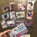 야옹아놀자(동성로점) 이미지