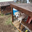 호호산장 이미지