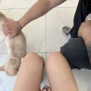 유주비주 이미지
