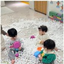 꽃피우다 이미지