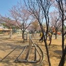 반쟁이공원 이미지